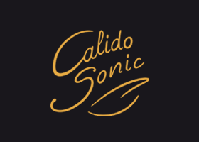 Logo Band Wien Bandlogo